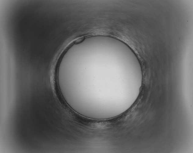 X0000102270103200808081449