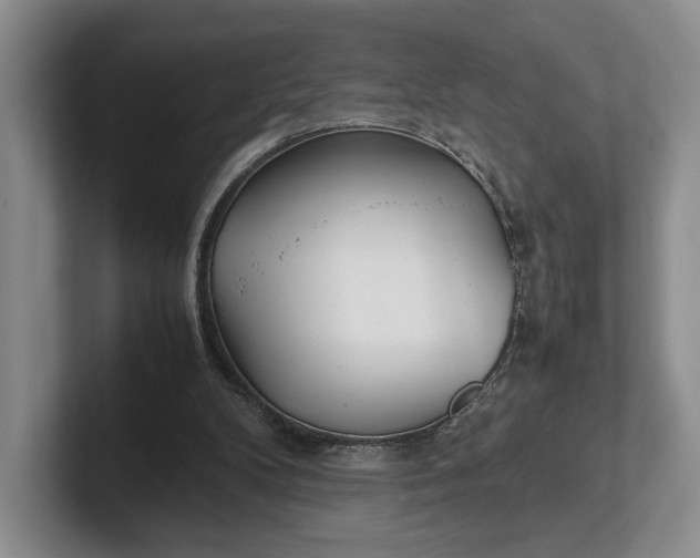 X0000102270104200808081449