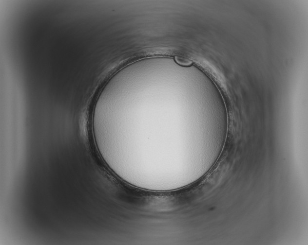 X0000102270107200808081449