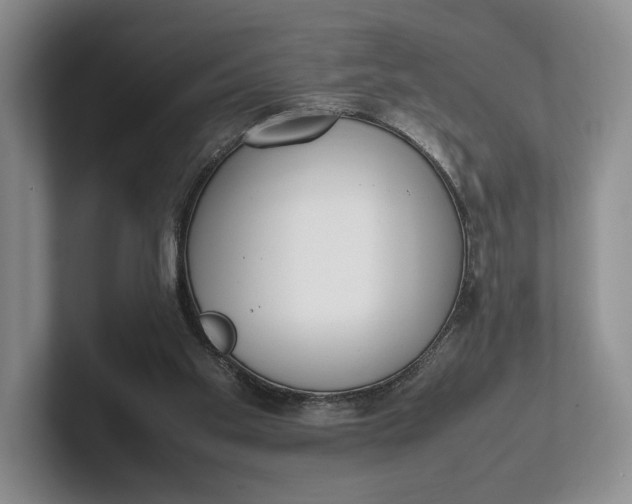 X0000102270109200808081449