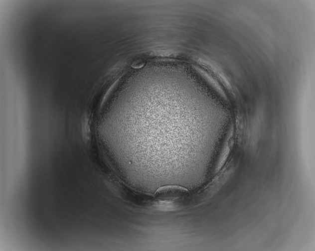 X0000102270114200808081449