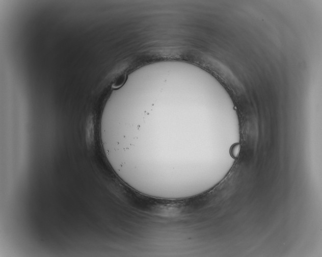 X0000102270120200808081449