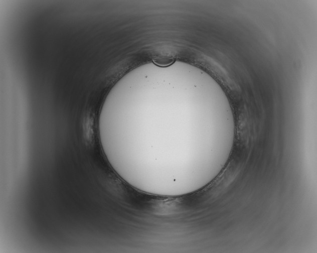 X0000102270122200808081449