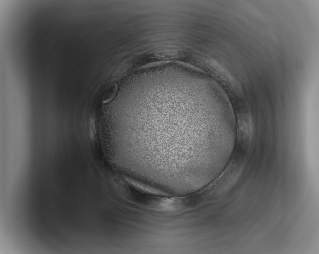 X0000102270130200808081449