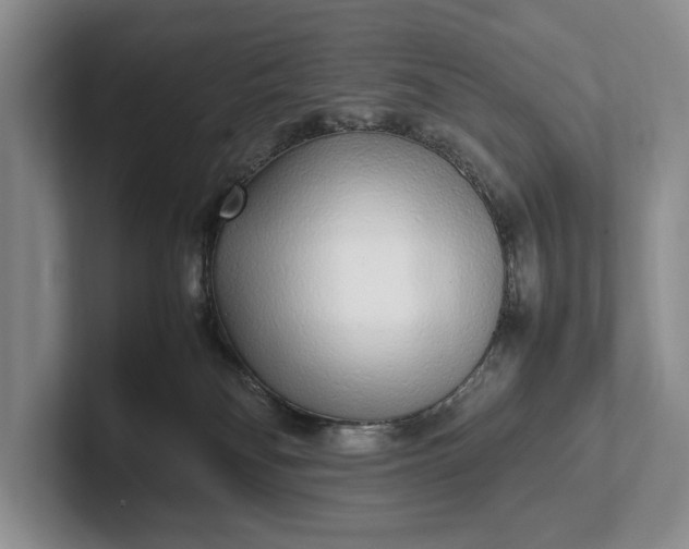 X0000102270134200808081449