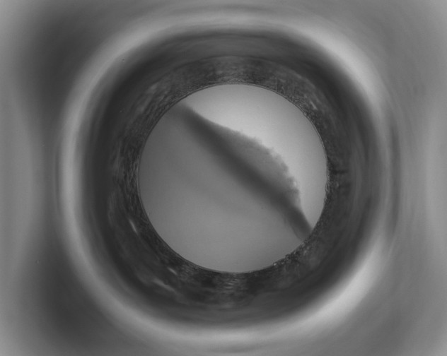 X0000102270143200808081449