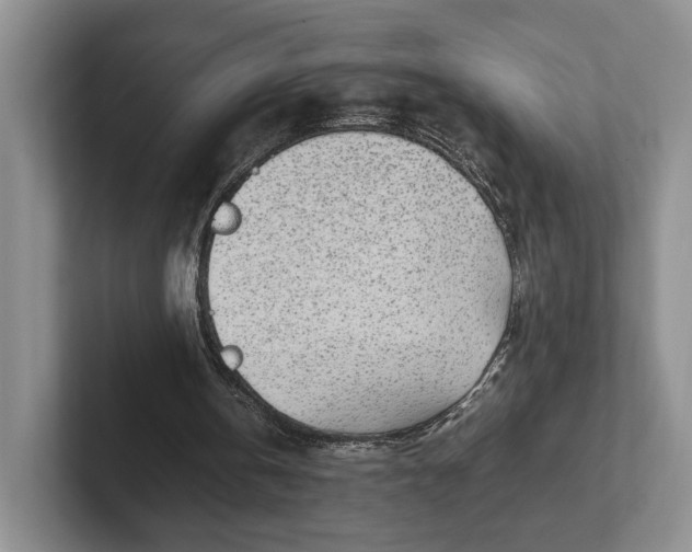 X0000102270146200808081448