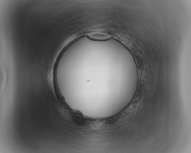 X0000102270148200808081448