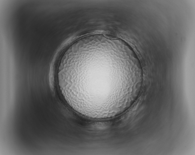 X0000102270149200808081448