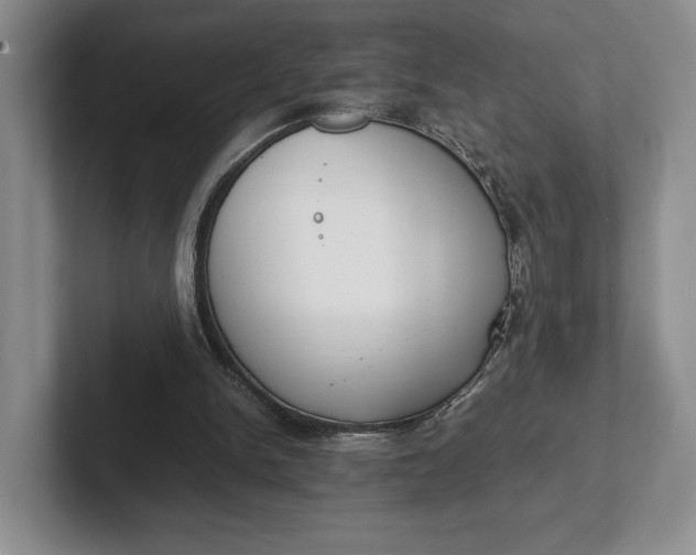 X0000102270150200808081448