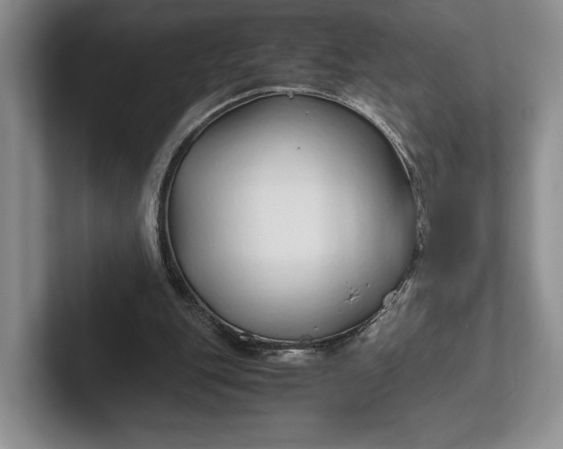 X0000102270151200808081448