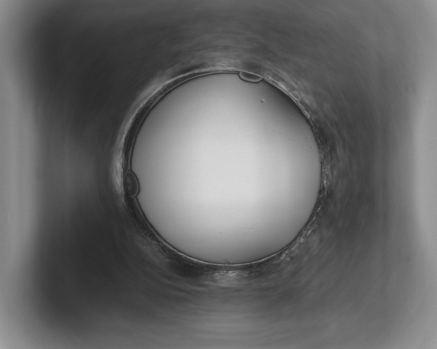 X0000102270152200808081448