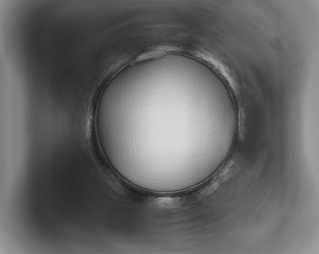 X0000102270153200808081448