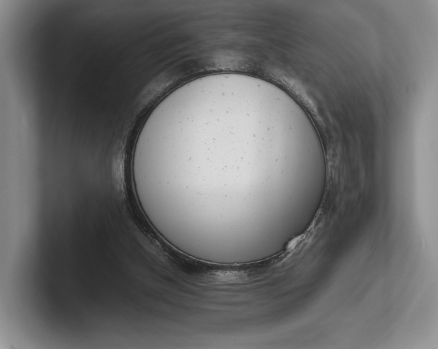 X0000102270154200808081448