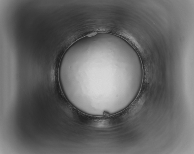 X0000102270161200808081448