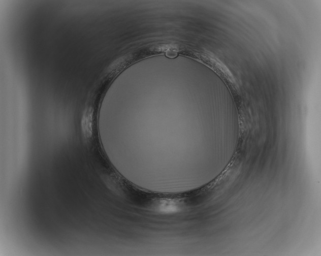 X0000102270163200808081448