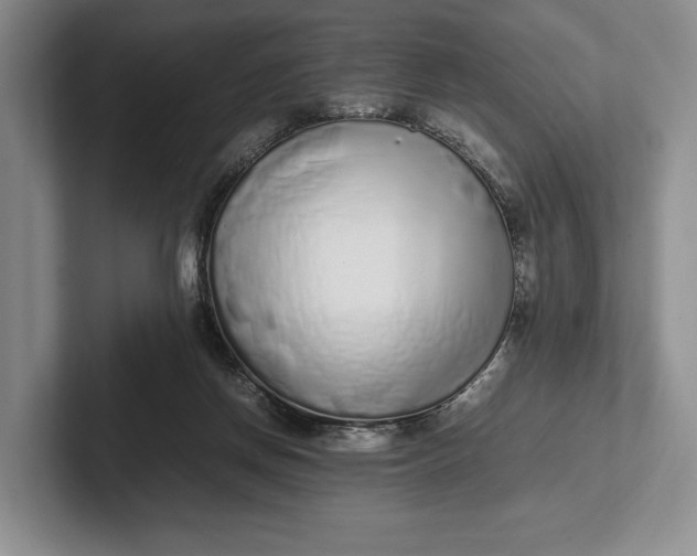 X0000102270166200808081448