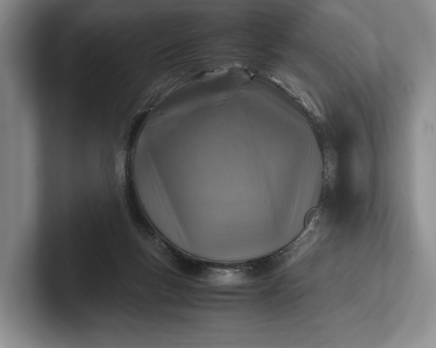 X0000102270167200808081448