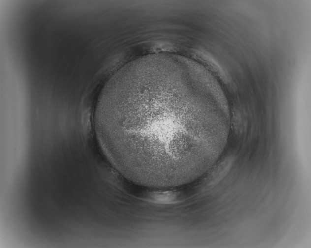 X0000102270169200808081448