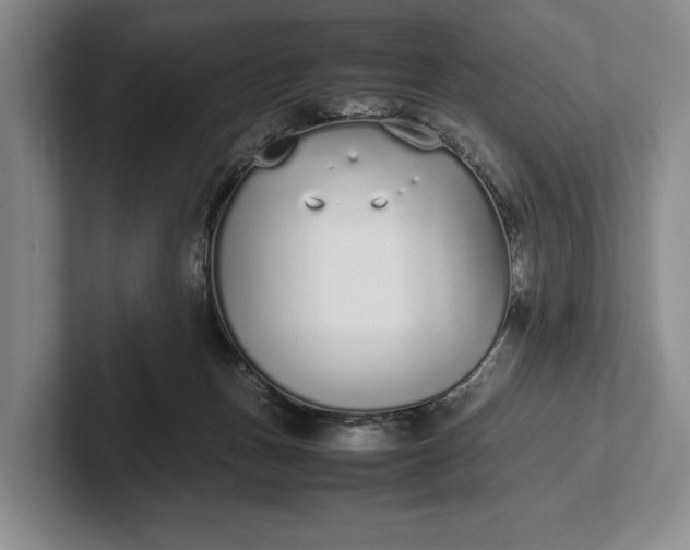 X0000102270175200808081448