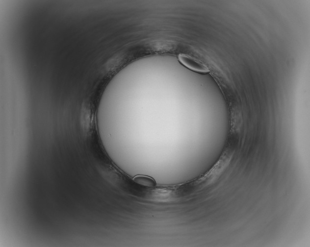 X0000102270176200808081448