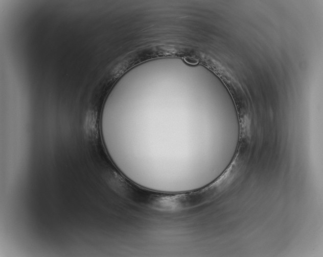 X0000102270178200808081448