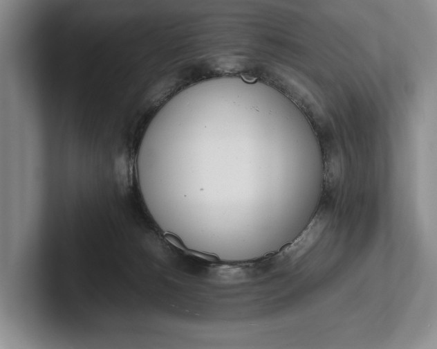 X0000102270180200808081448