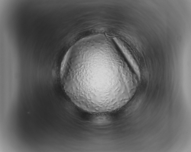 X0000102270181200808081448