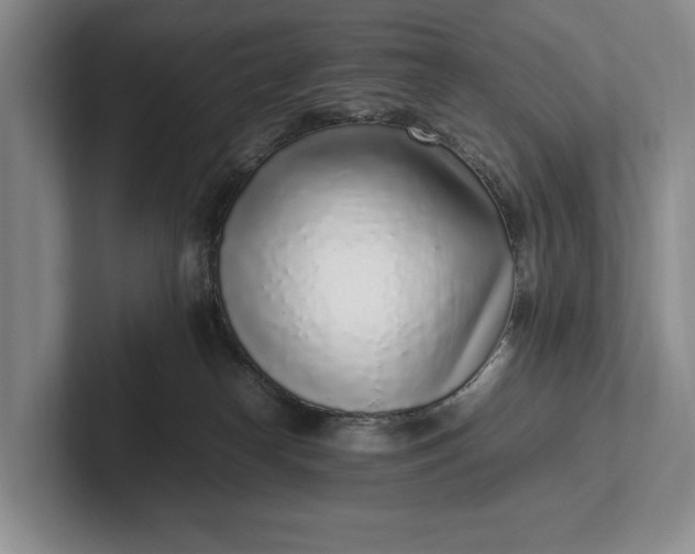 X0000102270182200808081448