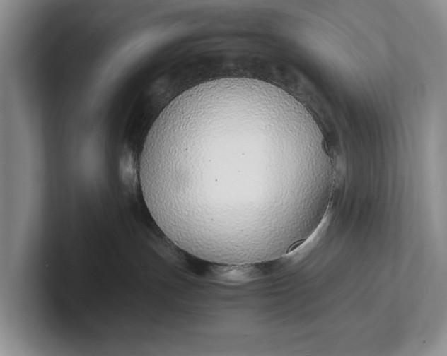 X0000102270191200808081448