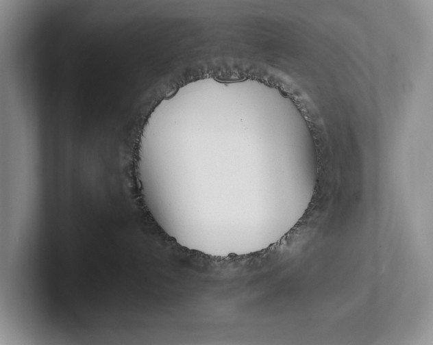 X0000102270192200808081449