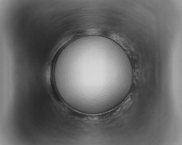 X0000102270194200808081448