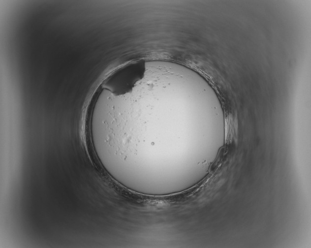 X0000102270195200808081448