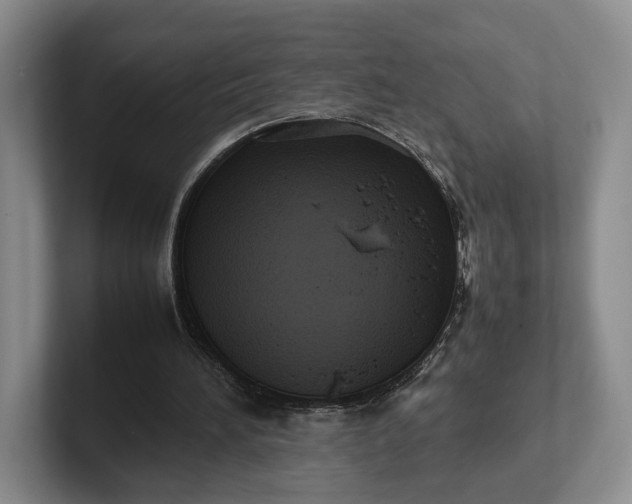 X0000102270196200808081448