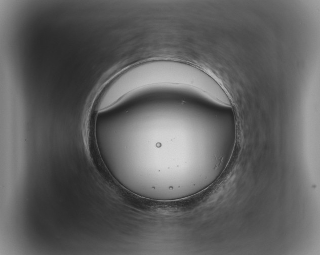 X0000102270199200808081448