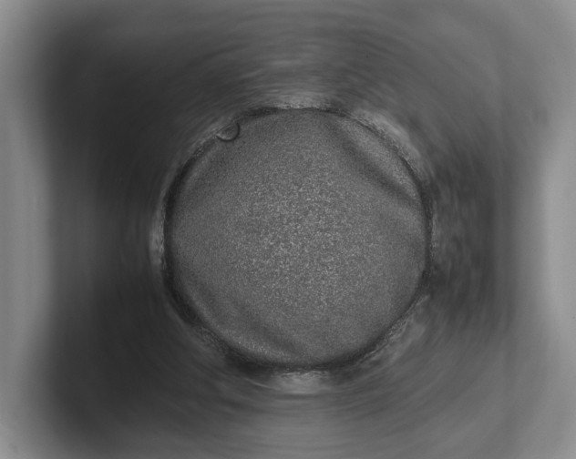 X0000102270202200808081448