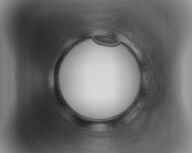 X0000102270203200808081448