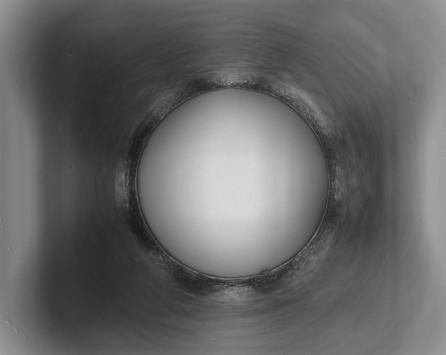 X0000102270210200808081448