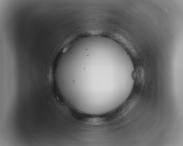 X0000102270212200808081448