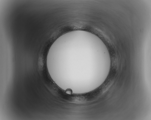 X0000102270215200808081448