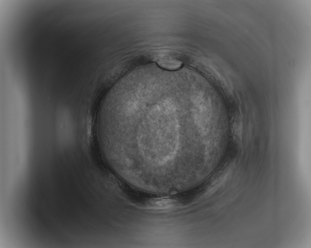 X0000102270219200808081448