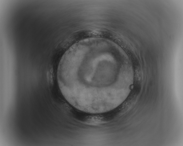 X0000102270223200808081447