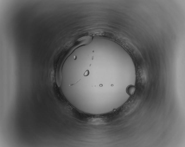 X0000102270224200808081447