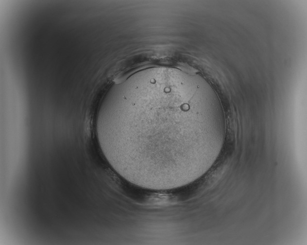 X0000102270227200808081447