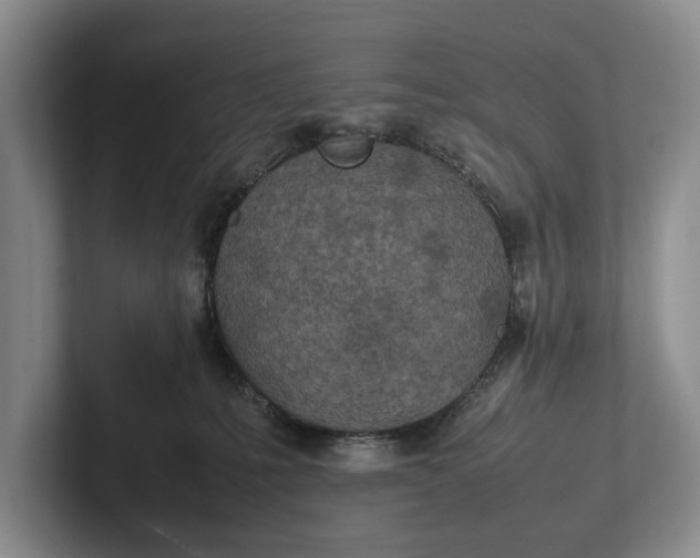 X0000102270231200808081447