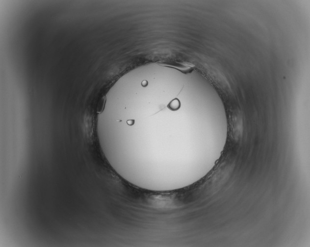 X0000102270232200808081447