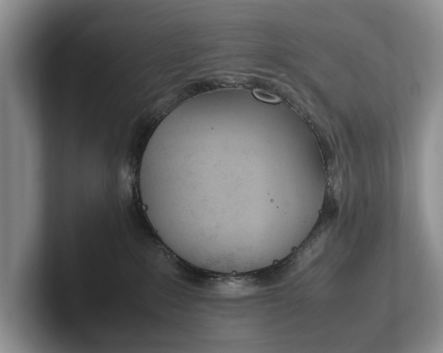 X0000102270235200808081447