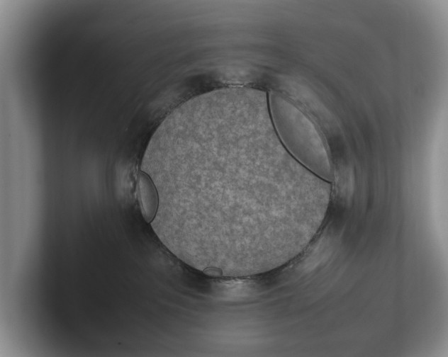 X0000102270237200808081447