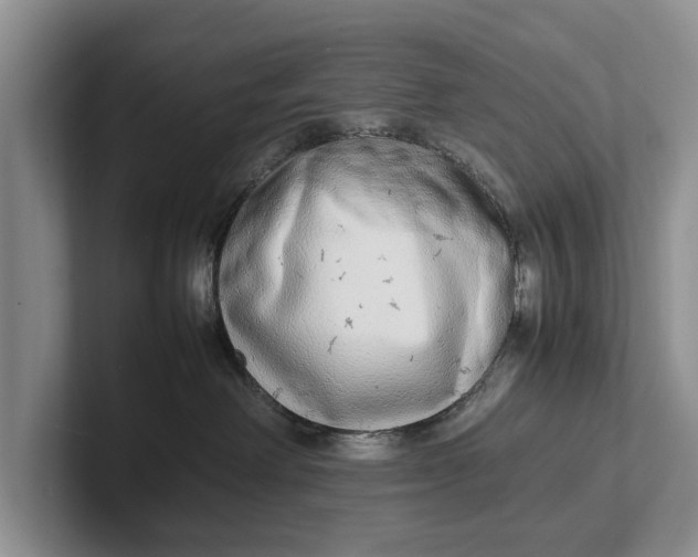 X0000102270238200808081447