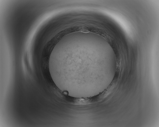 X0000102270239200808081447